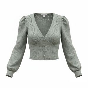 Kirious Elegant Lace Crop Top in Soft Grren.